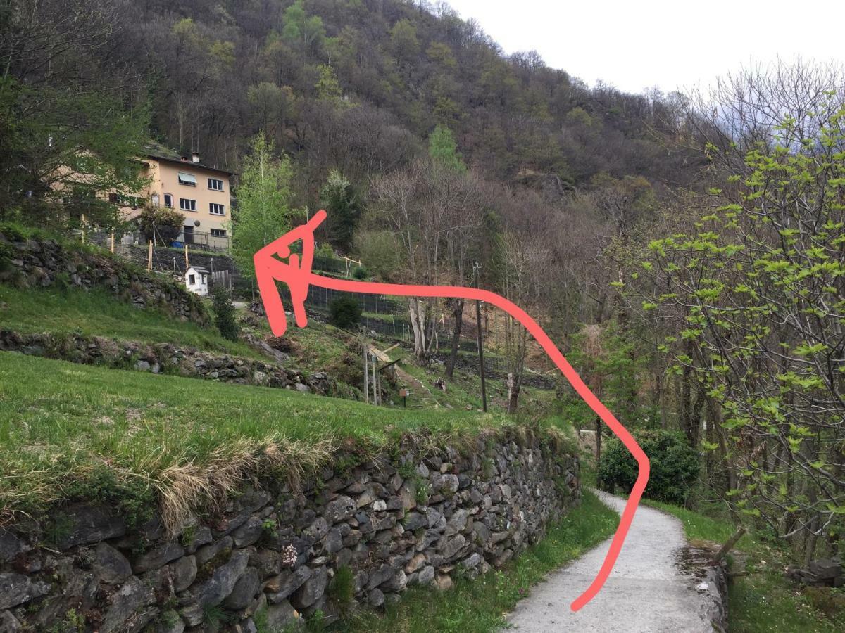 Casa Immersa Nel Vigneto Roveredo Exterior photo